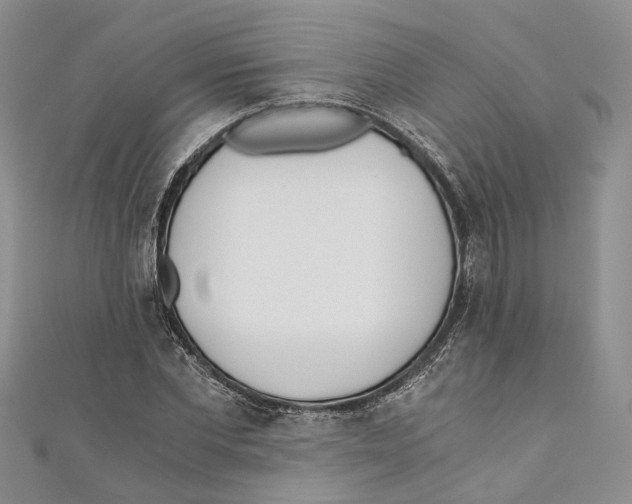X0000110670877200907101104