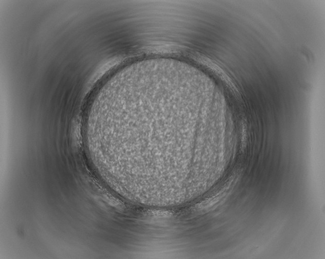 X0000110670878200907101104