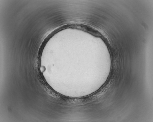 X0000110670879200907101104