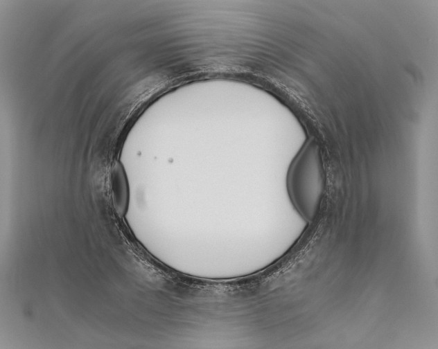 X0000110670881200907101104