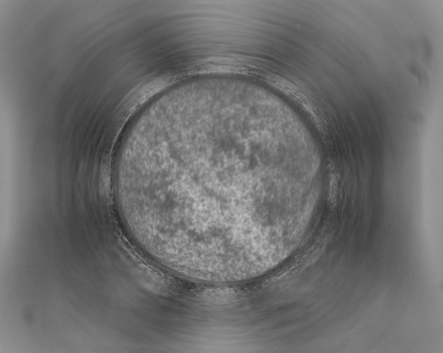 X0000110670882200907101104
