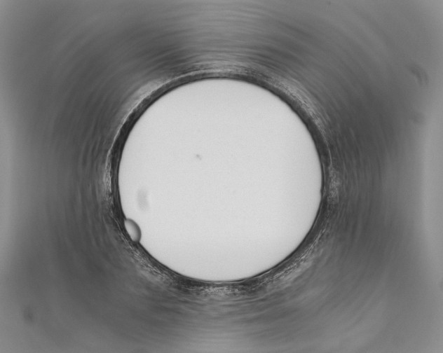 X0000110670883200907101104