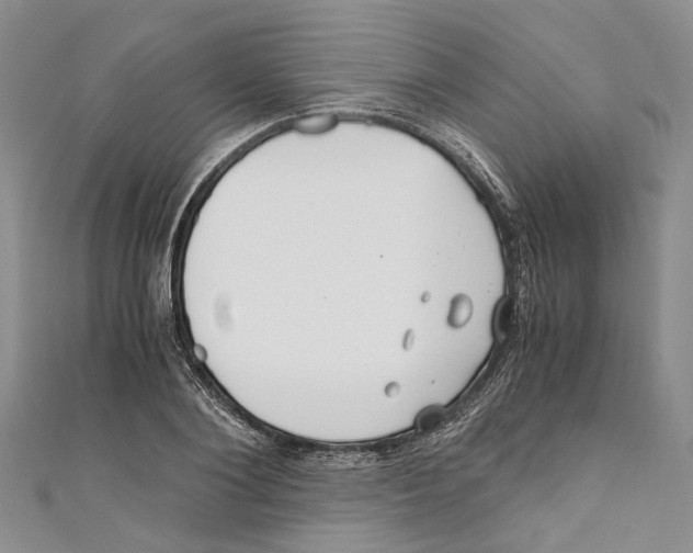 X0000110670884200907101104