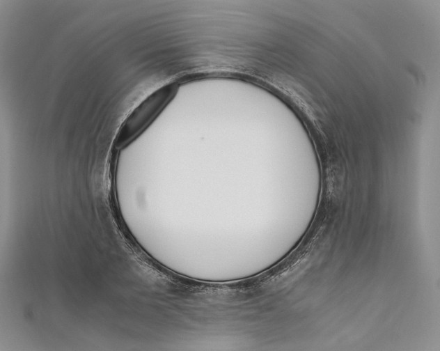 X0000110670885200907101104