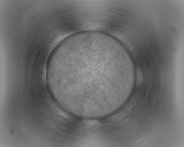 X0000110670886200907101104