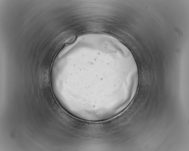 X0000110670889200907101104