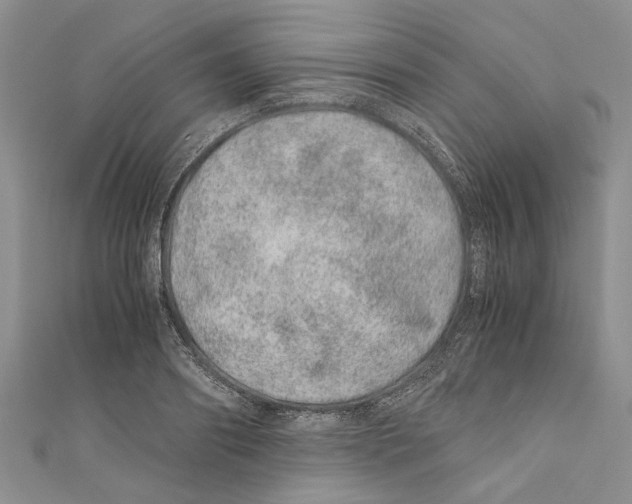 X0000110670890200907101104
