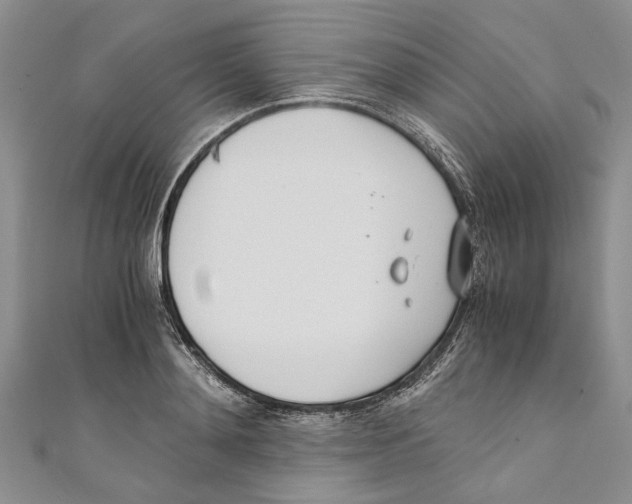 X0000110670892200907101104