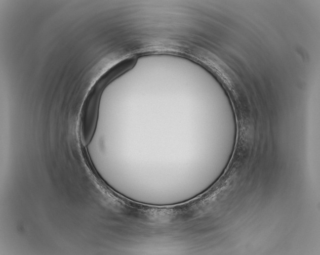 X0000110670893200907101104