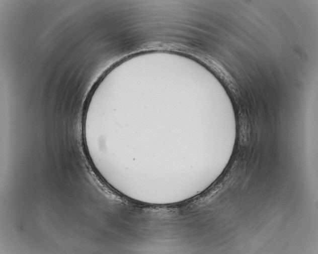 X0000110670896200907101103