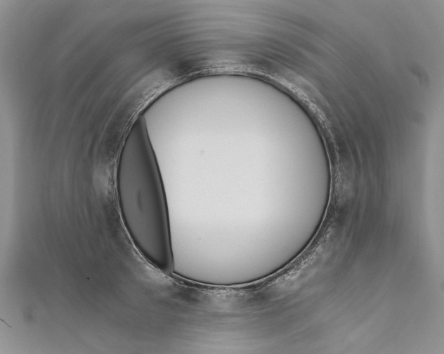 X0000110670897200907101103