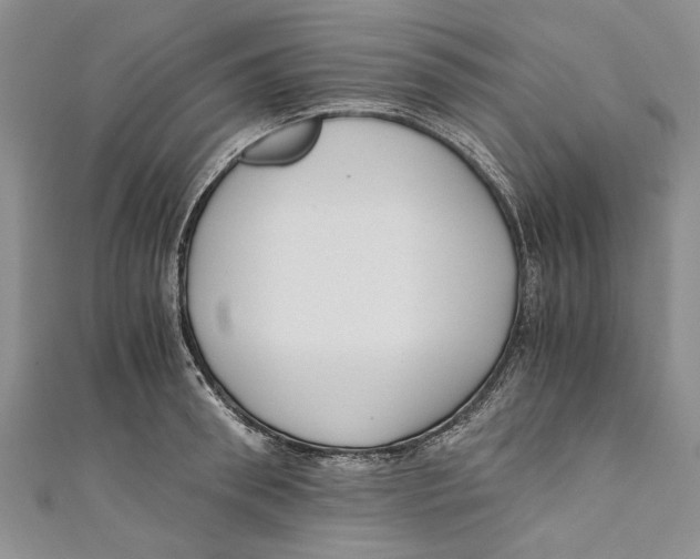 X0000110670898200907101103