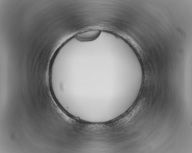 X0000110670902200907101103