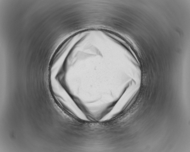 X0000110670903200907101103