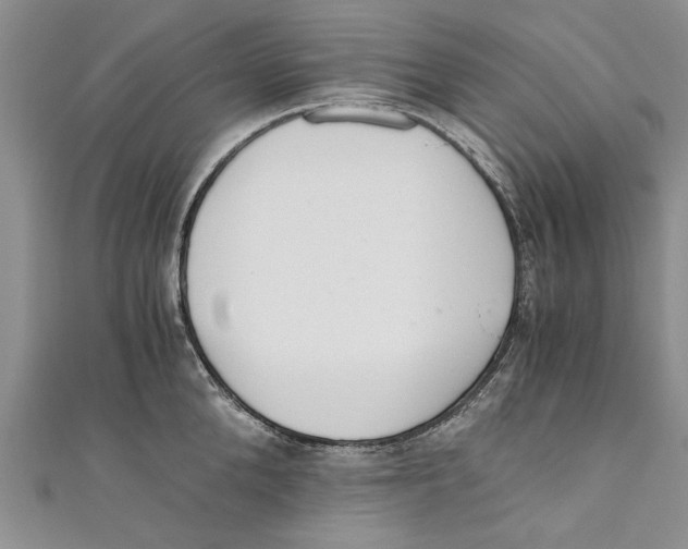 X0000110670904200907101103