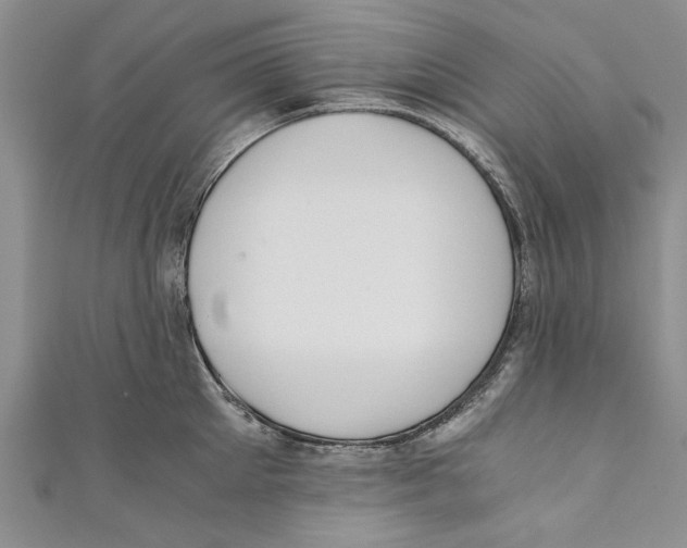 X0000110670905200907101103