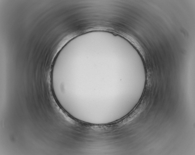 X0000110670906200907101103