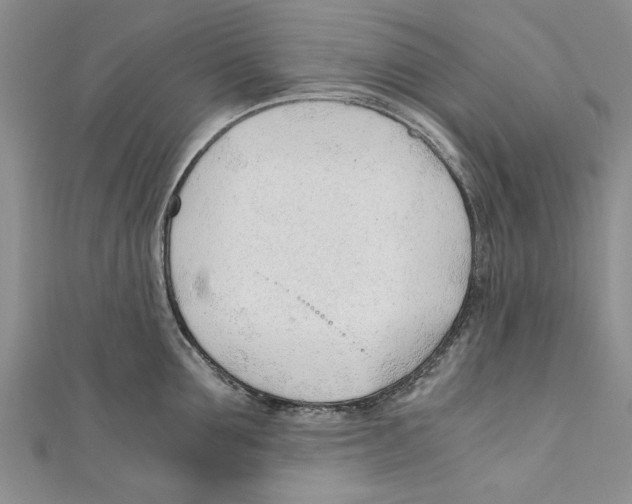 X0000110670907200907101103