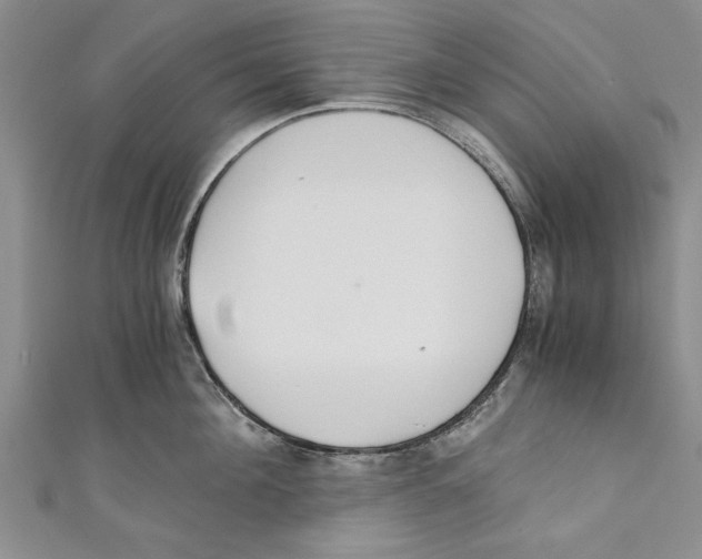X0000110670908200907101103