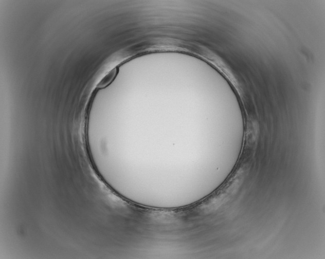 X0000110670909200907101103