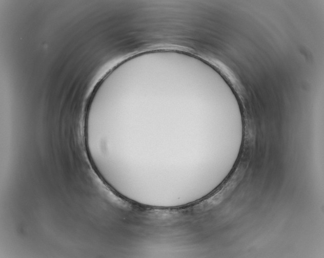 X0000110670910200907101103