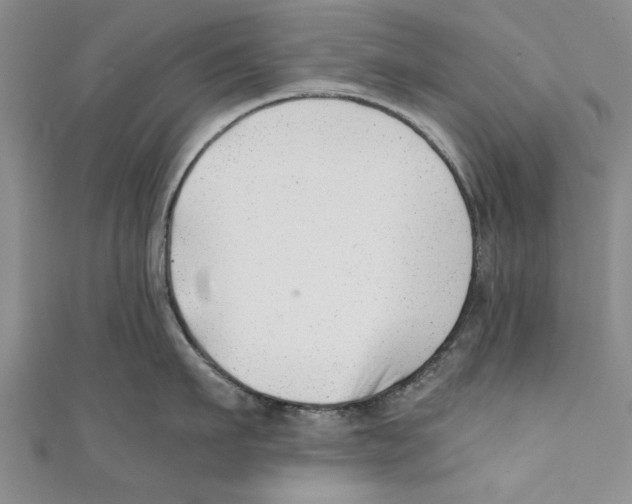 X0000110670911200907101103