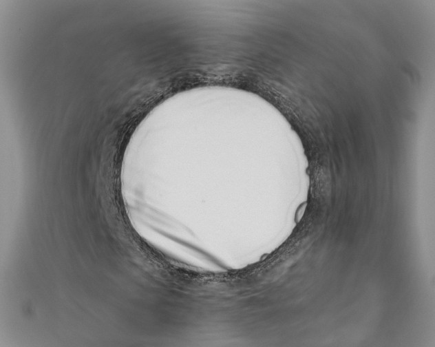 X0000110670913200907101103