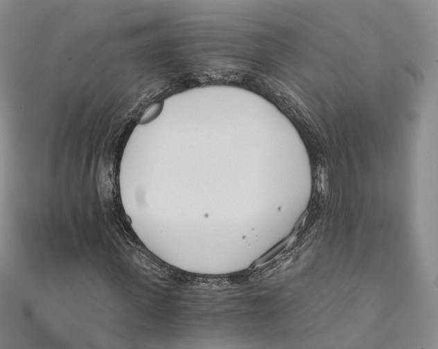 X0000110670915200907101103