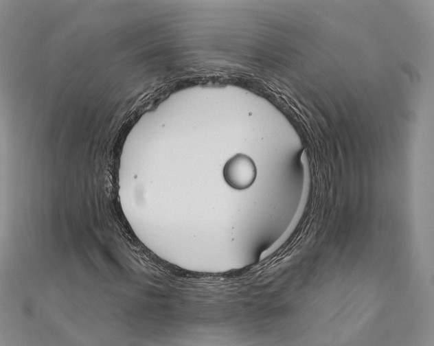 X0000110670916200907101103