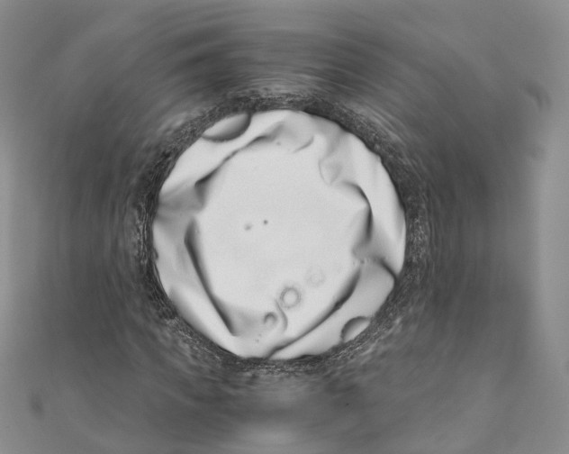 X0000110670917200907101103