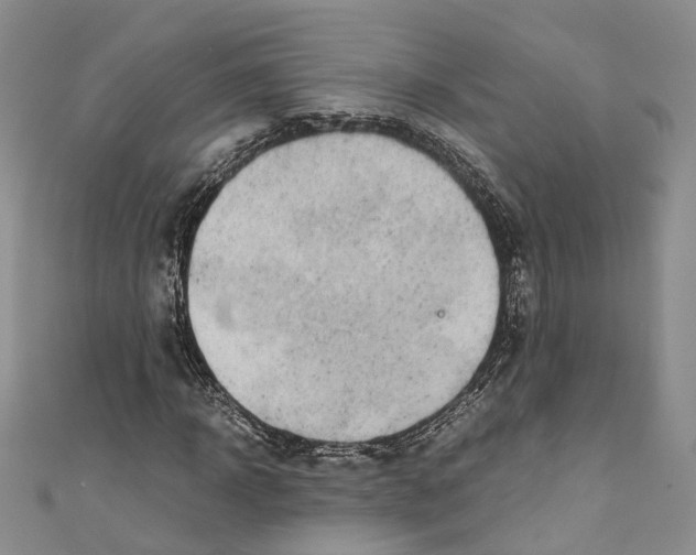 X0000110670918200907101103
