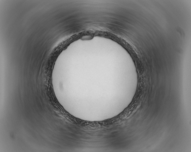 X0000110670919200907101103