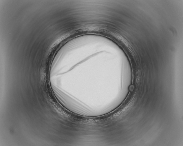 X0000110670922200907101103