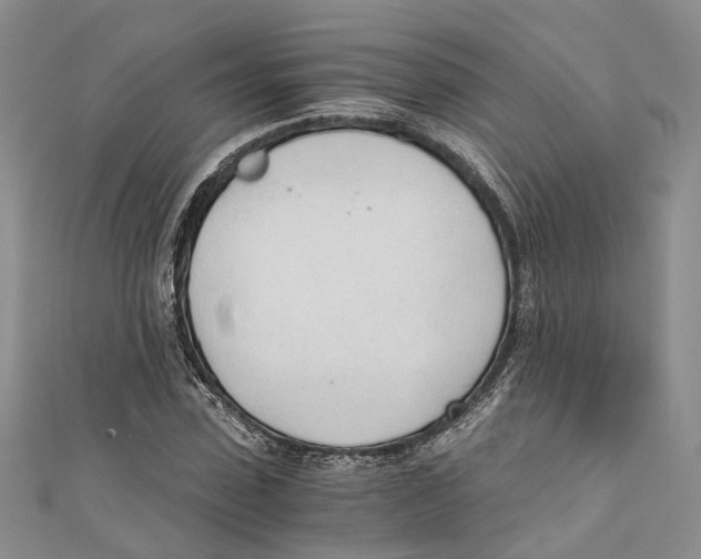 X0000110670923200907101103
