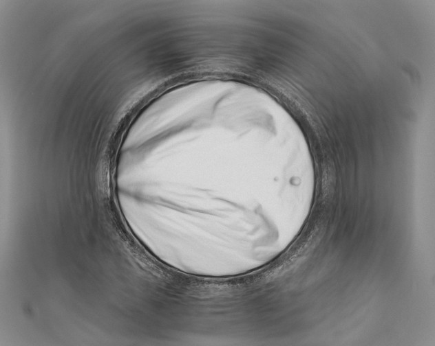 X0000110670925200907101103