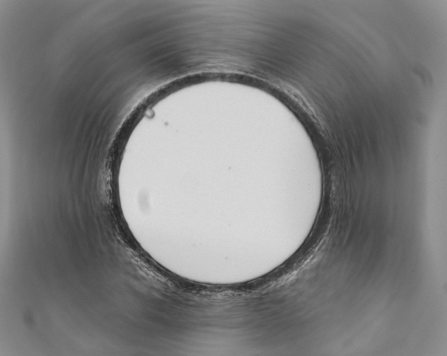 X0000110670926200907101103