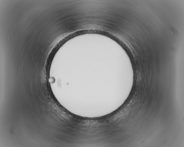 X0000110670927200907101103
