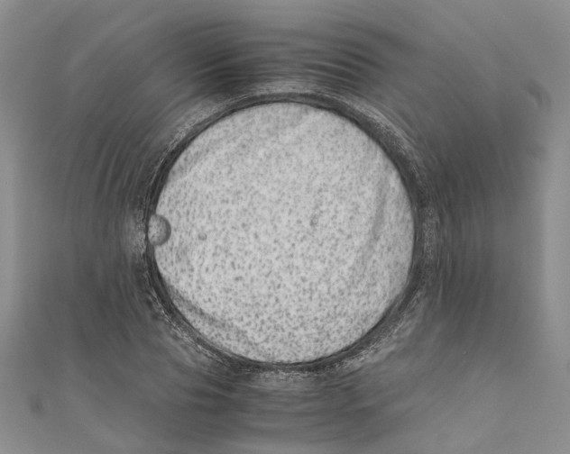 X0000110670929200907101103
