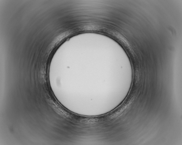 X0000110670930200907101103