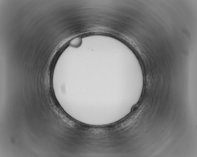 X0000110670931200907101103
