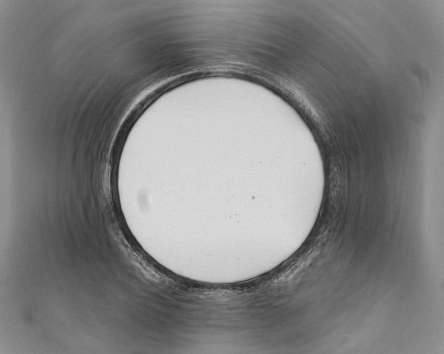 X0000110670932200907101103