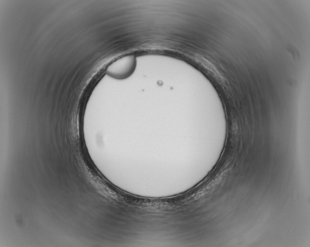 X0000110670934200907101103