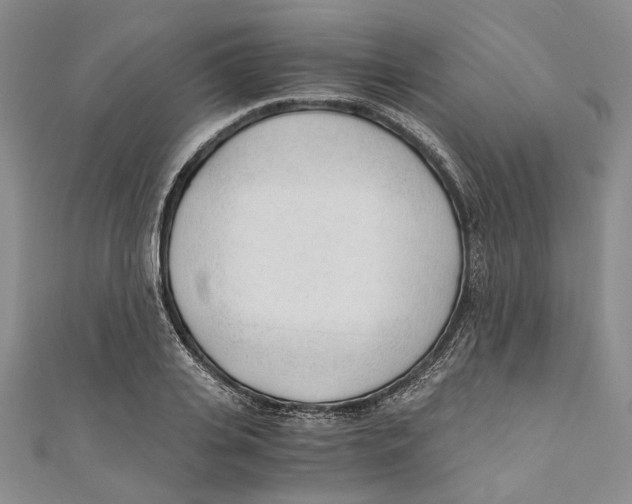 X0000110670935200907101103