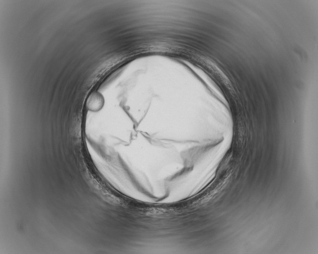X0000110670938200907101103