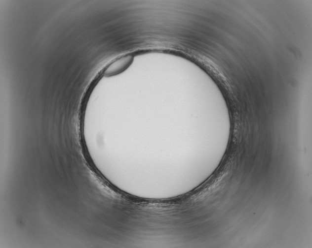 X0000110670942200907101103