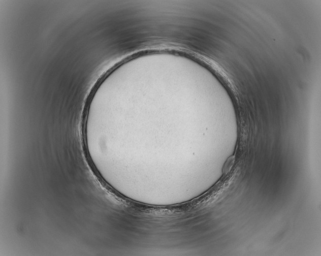 X0000110670943200907101103