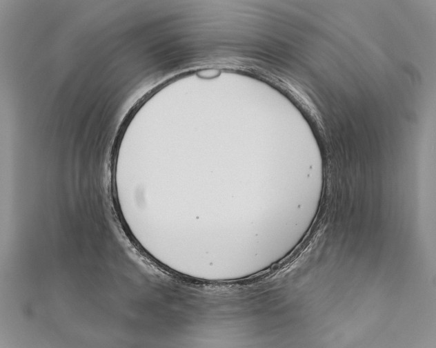 X0000110670944200907101103
