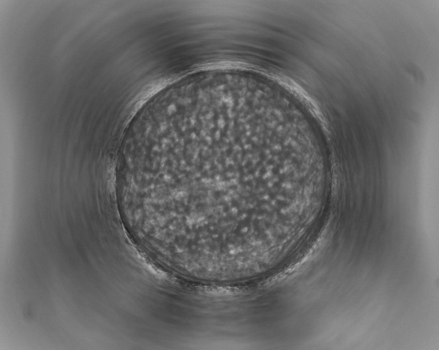 X0000110670945200907101103