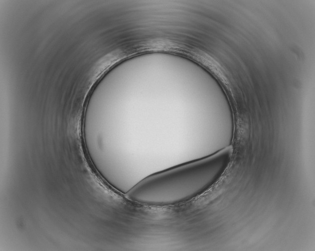 X0000110670946200907101103