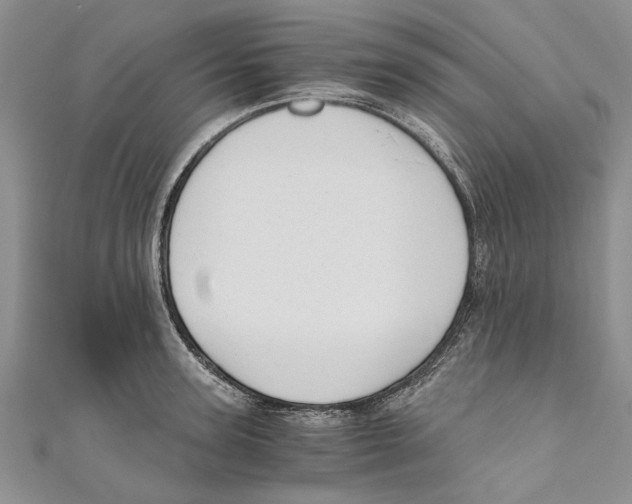 X0000110670947200907101103
